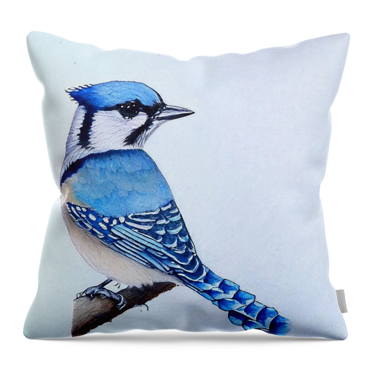 Bird Throw Pillow featuring the painting Painting Blue Jay bird nature illustration beauti by N Akkash