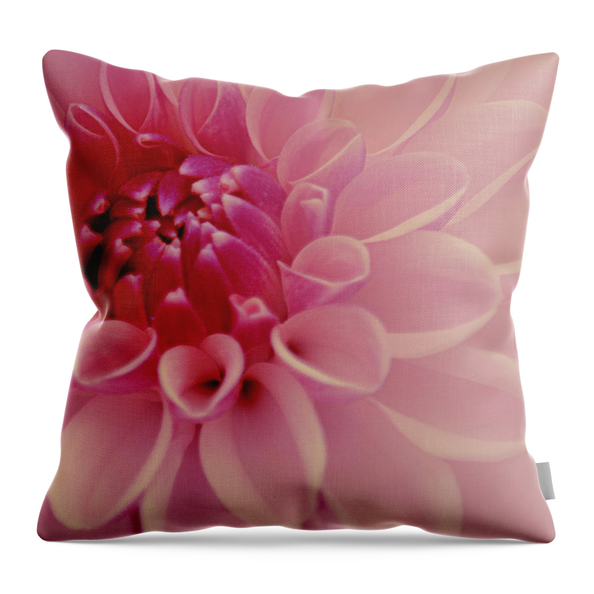 Art Throw Pillow featuring the photograph Pale Pink Dahlia by Joan Han
