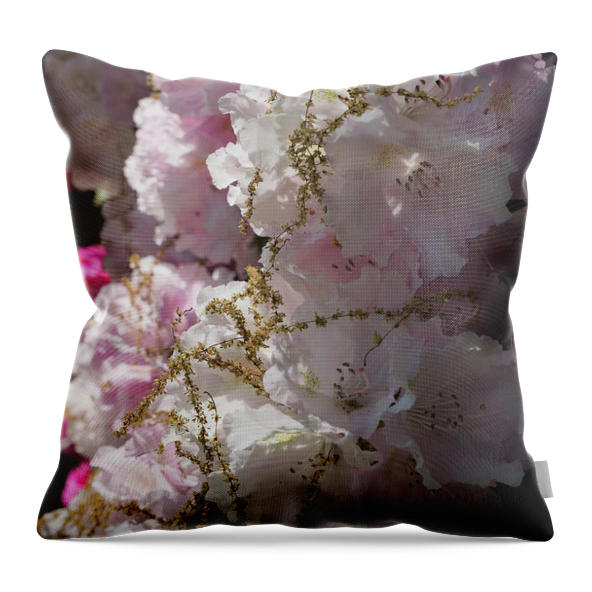 Rhododendron Throw Pillow featuring the photograph Pale pink rhododendron flowers 1 by Adriana Mueller