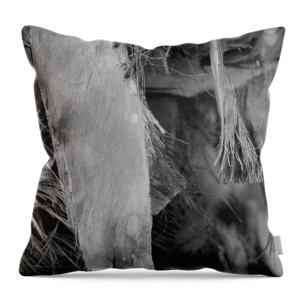 Closeup Throw Pillow featuring the photograph Palm #3 by John Simmons