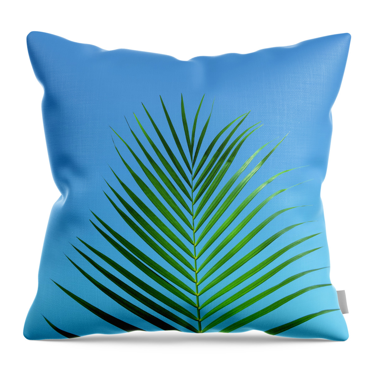 Palm Throw Pillow featuring the photograph Palm Frond Tropical Blue by Laura Fasulo