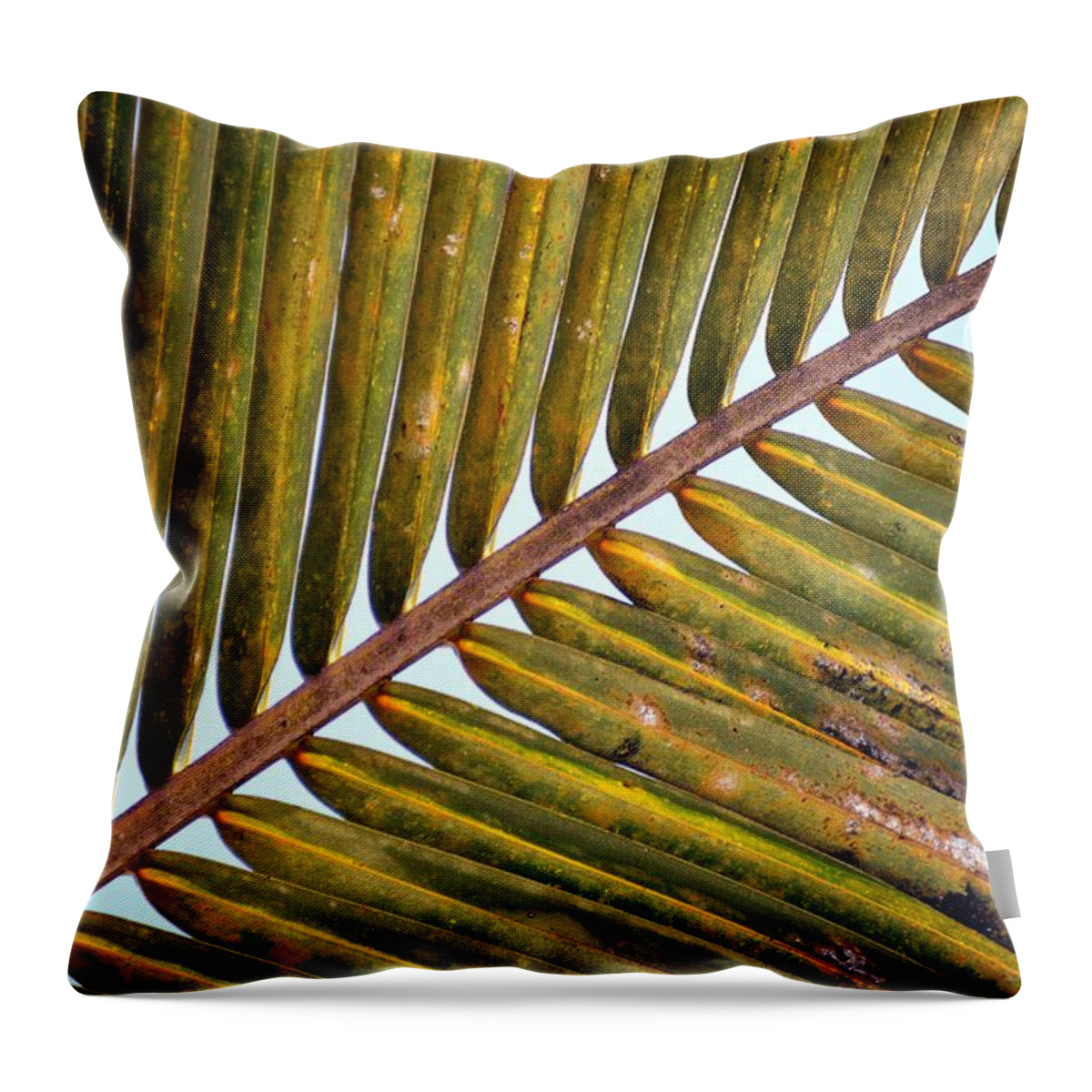 Palm Leaves Watercolor Throw Pillow featuring the photograph Palm Leaf by Thomas Schroeder