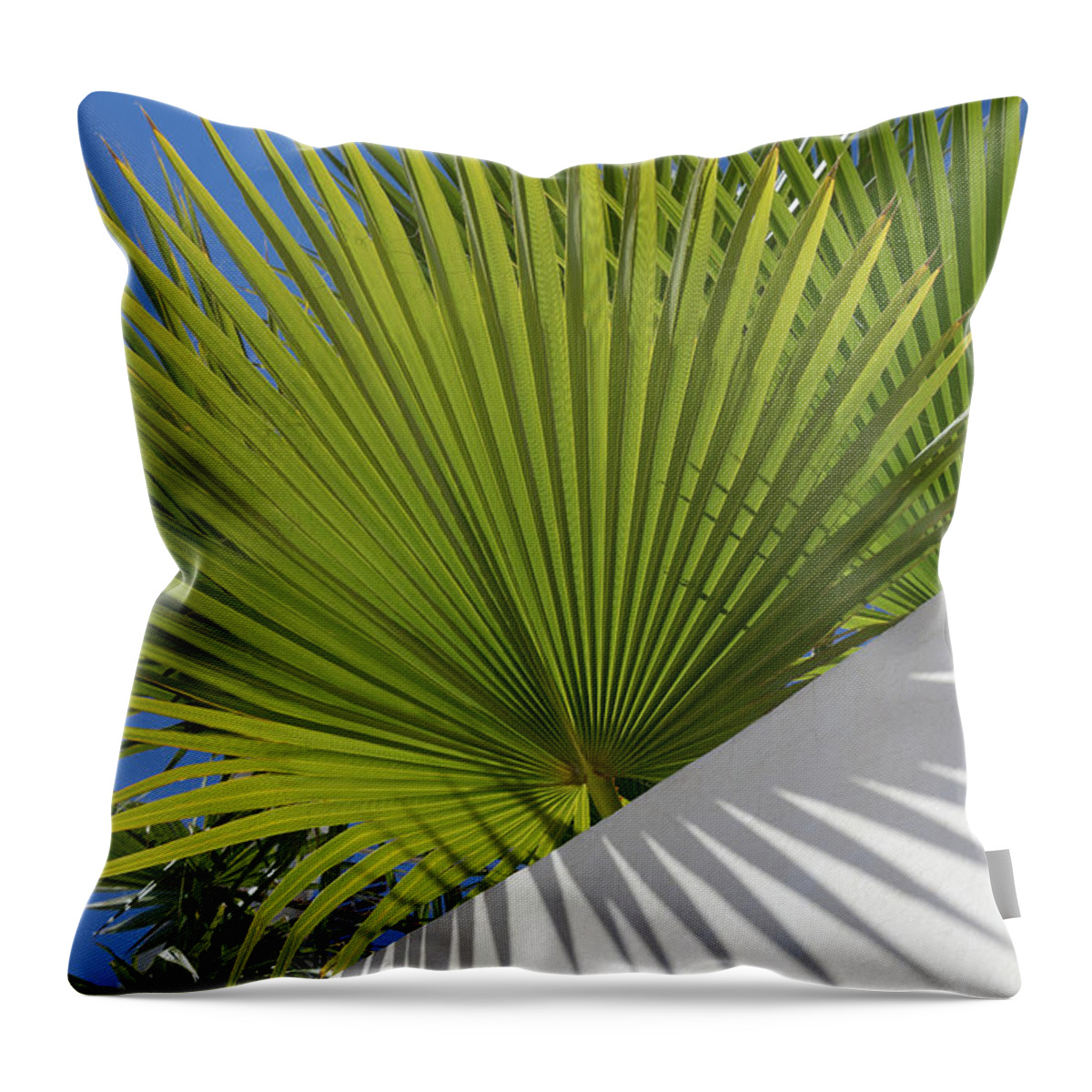 Palm Leaf Throw Pillow featuring the photograph Green palm leaves, blue sky and white wall of a modern finca 2 by Adriana Mueller