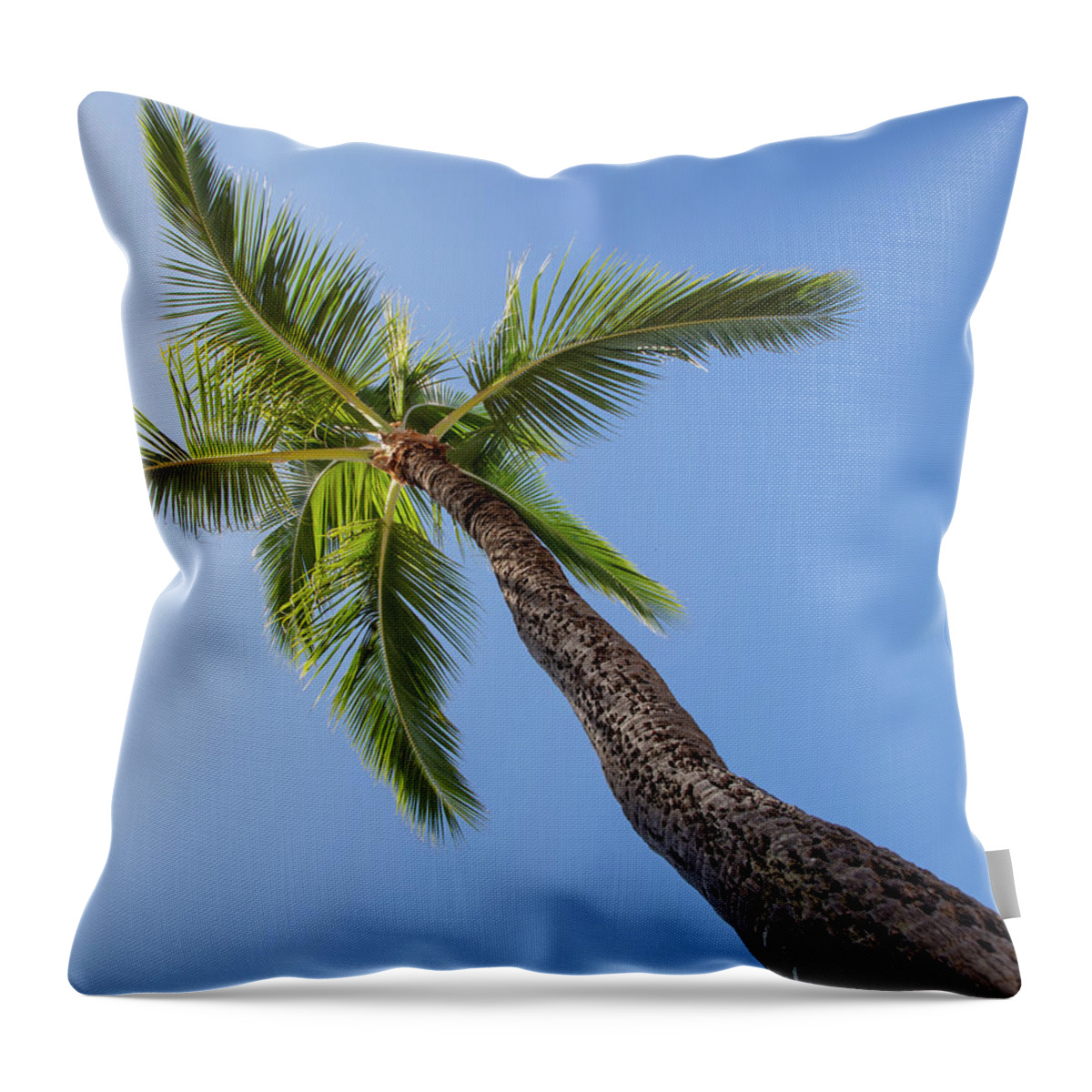 Beach Throw Pillow featuring the photograph Palm Nap by T Phillip Spencer