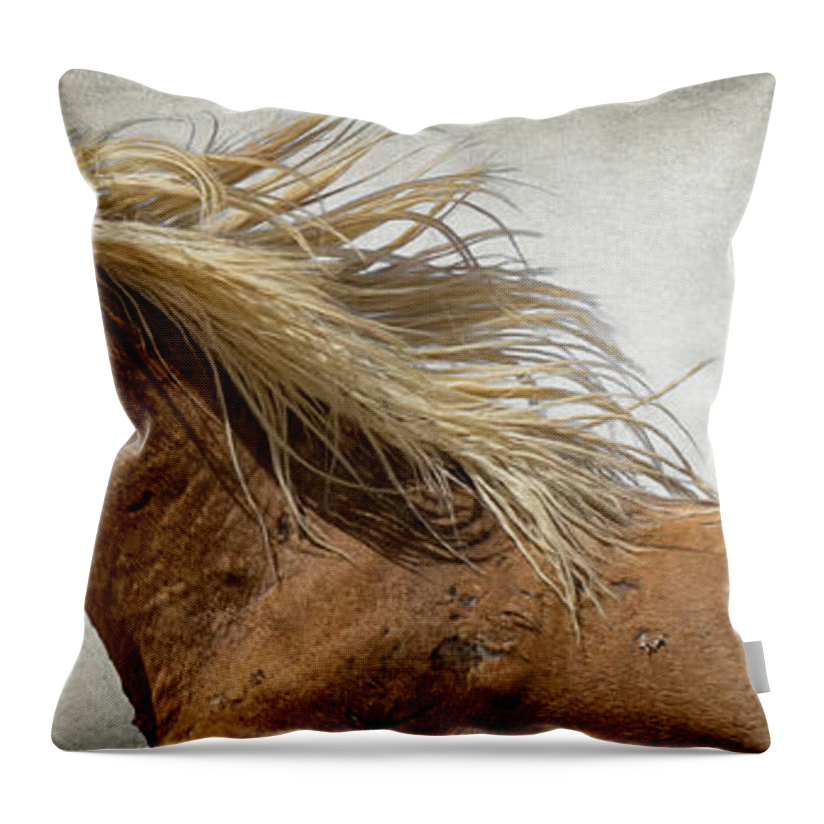 Wild Horses Throw Pillow featuring the photograph Palomino Beauty by Mary Hone