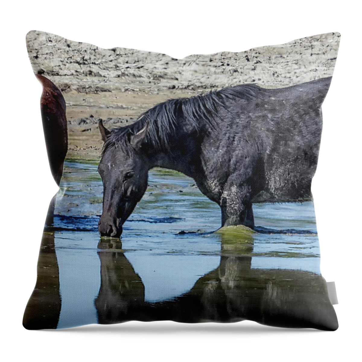 Palomino Buttes Throw Pillow featuring the photograph Palomino Buttes Bandmates, No. 2 by Belinda Greb