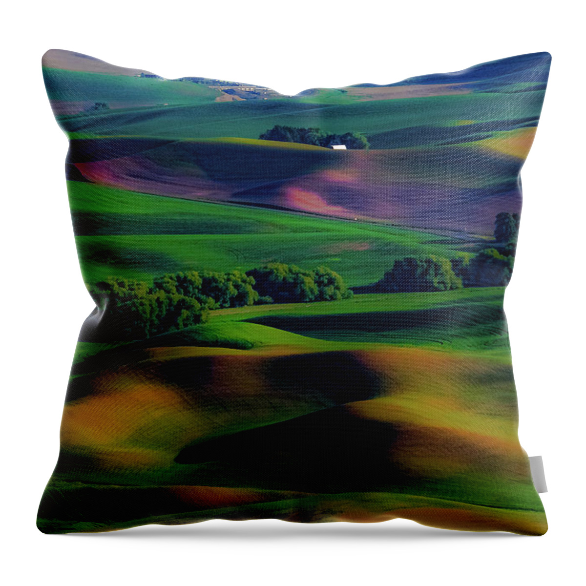 Palouse; Steptoe Butte; Rolling Hills; Farmland; Nature; Spring; Steptoe Butte State Park; Eastern Washington; Pnw; Hills; Wheat Fields Throw Pillow featuring the photograph Palouse Hues by Emerita Wheeling