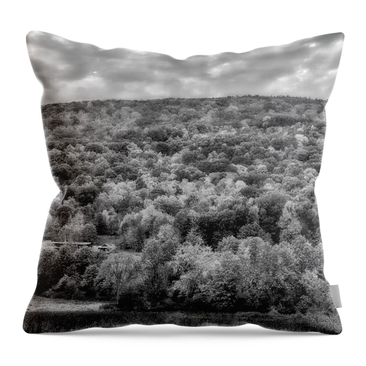 Hudson Valley Throw Pillow featuring the photograph Paltz Point Shawangunk Mountains BW by Susan Candelario