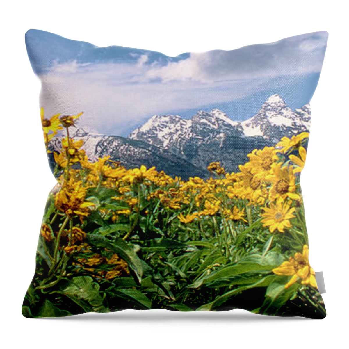 Dave Welling Throw Pillow featuring the photograph Panoramic Balsamroot Below The Teton Range by Dave Welling