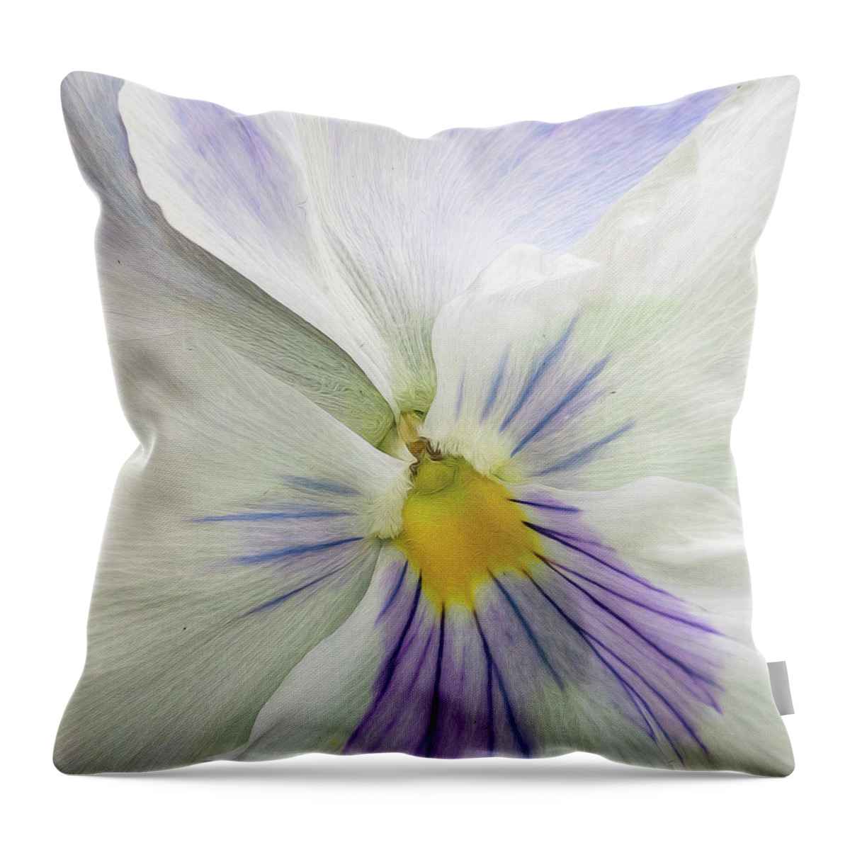 Flower Throw Pillow featuring the photograph Pansy Macro by Cathy Kovarik