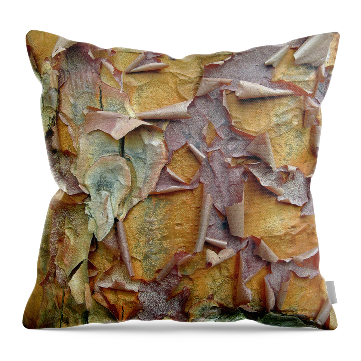 Tree Throw Pillow featuring the photograph Paperbark Maple Tree by Jessica Jenney