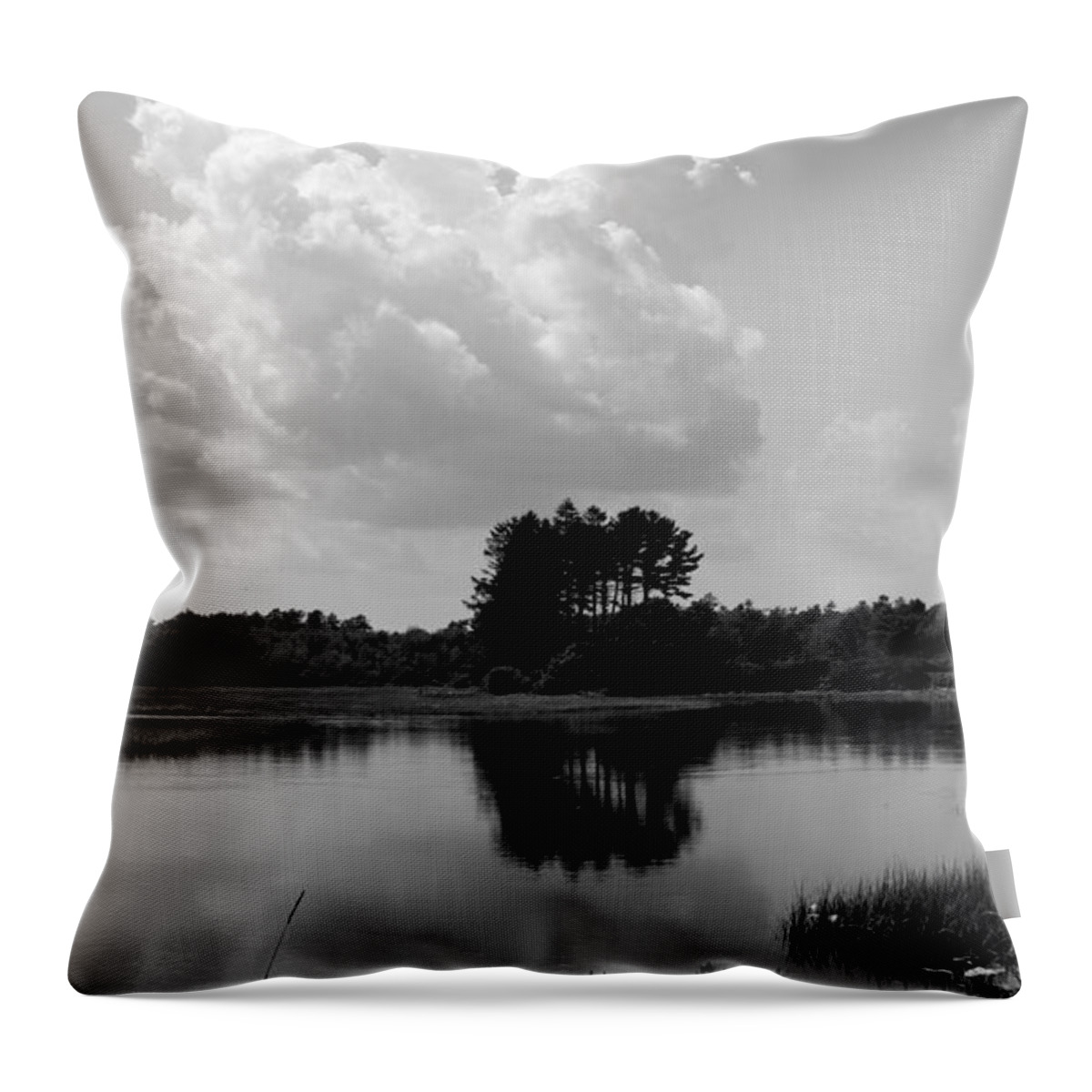 Meadow Throw Pillow featuring the photograph Parsons Beach BW by Lennie Malvone