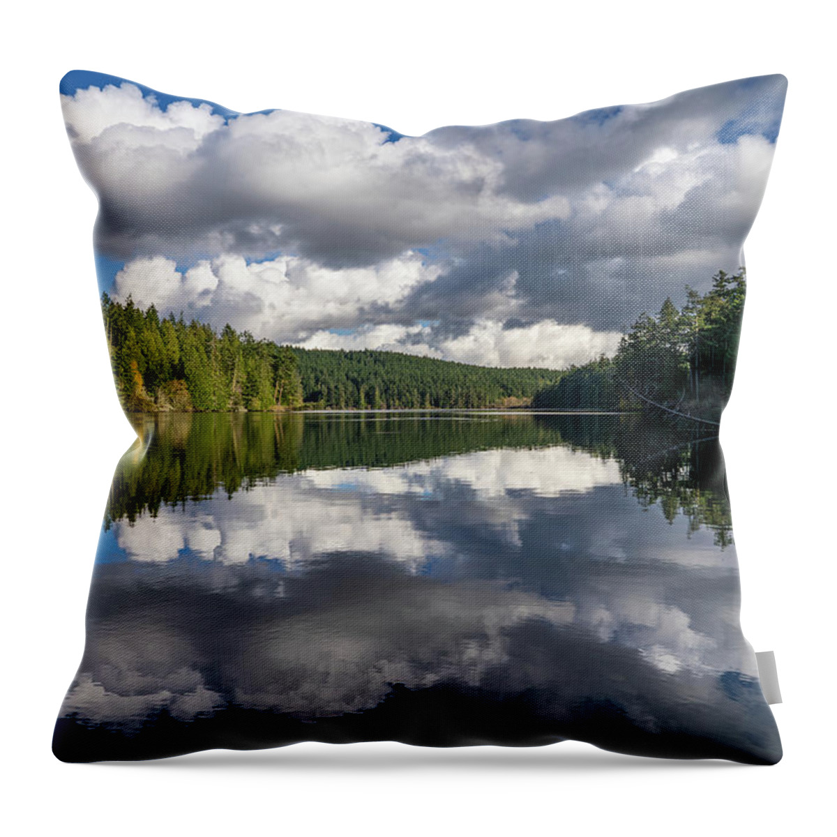 Lake Throw Pillow featuring the photograph Pass Lake by Gary Skiff