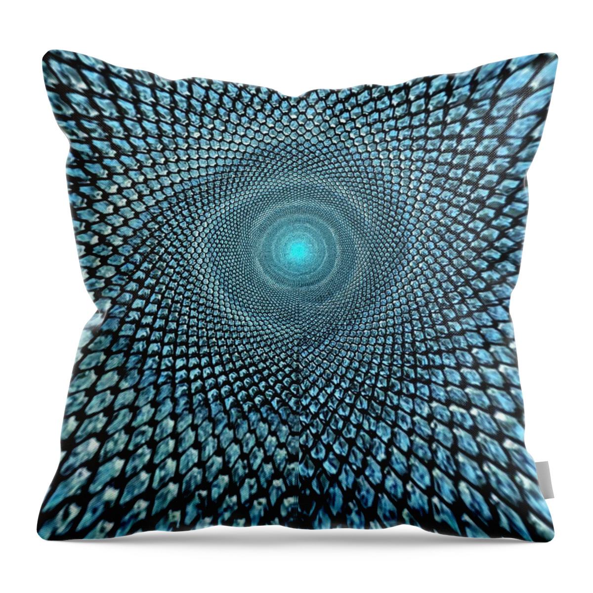 Blue Throw Pillow featuring the photograph Passage to eternity by Silvia Marcoschamer