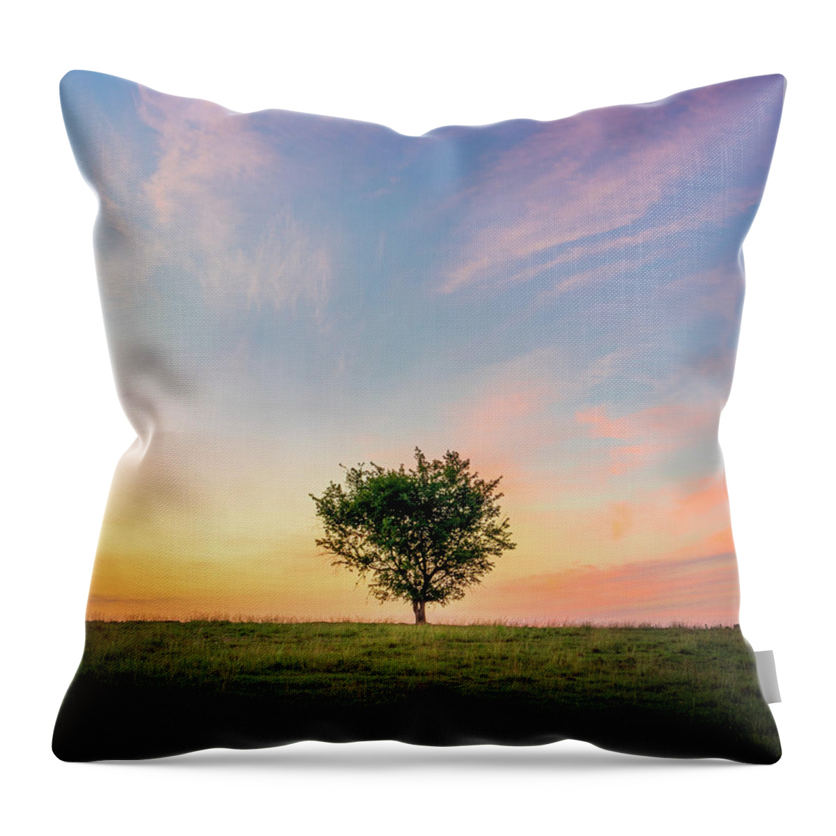 Sunrise Throw Pillow featuring the photograph Pastel Sunrise Beautiful Tree Mississippi by Jordan Hill