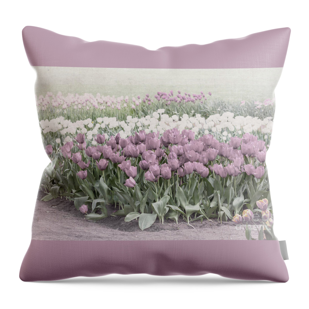 Pastel Throw Pillow featuring the photograph Pastel Tulips by Elaine Teague