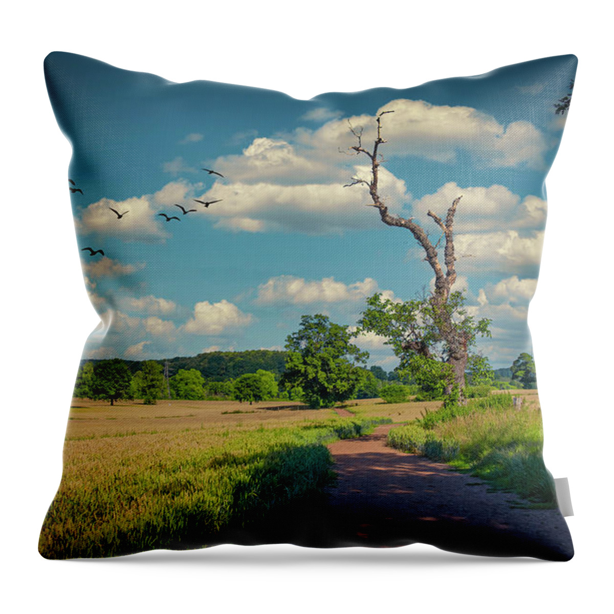 Landscape Throw Pillow featuring the photograph Path 2 by Remigiusz MARCZAK