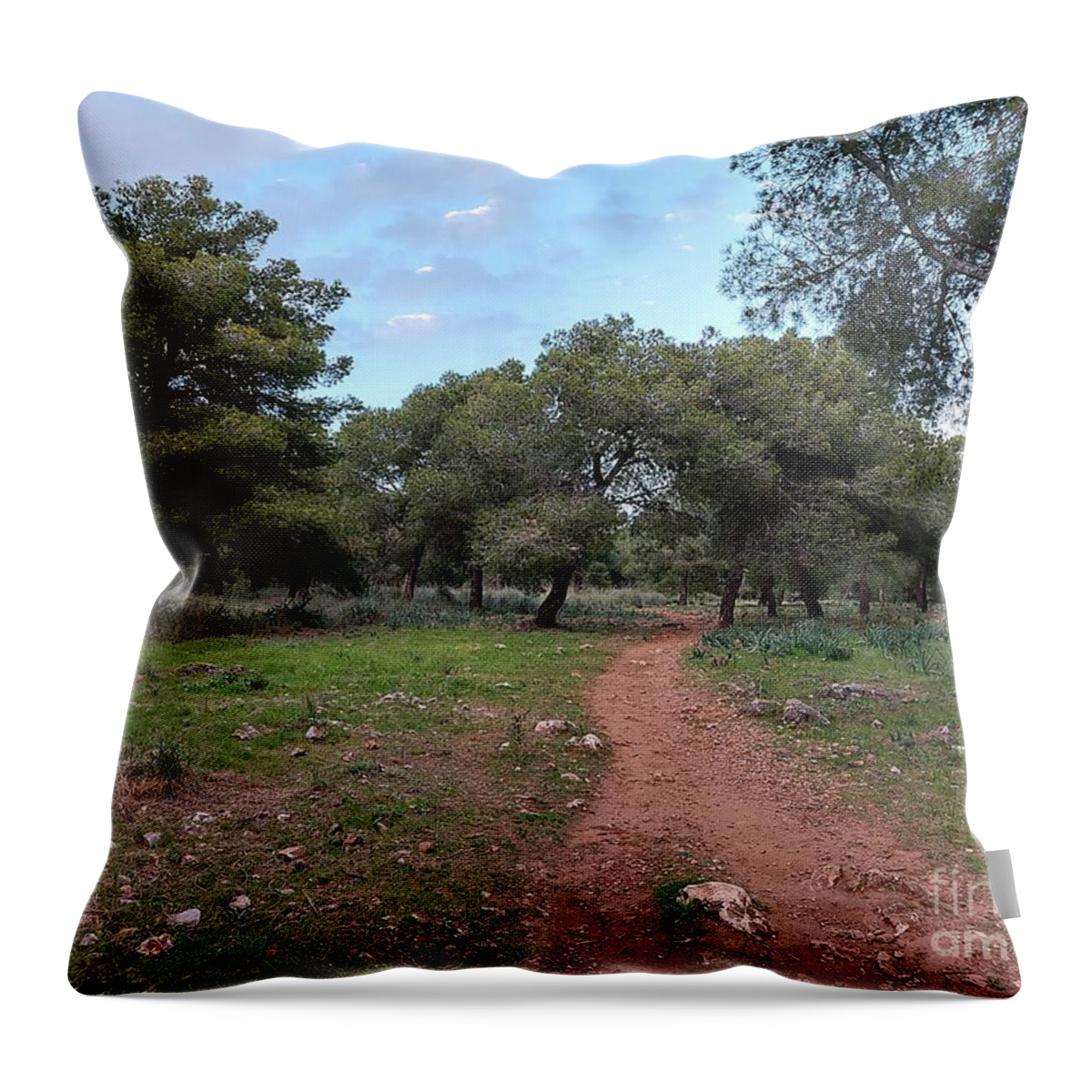 Path Throw Pillow featuring the photograph Path in the mountains in Torremolinos #1 by Chani Demuijlder