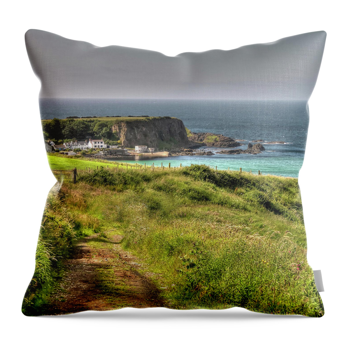 Ireland Throw Pillow featuring the photograph Path To The Sea by Randall Dill