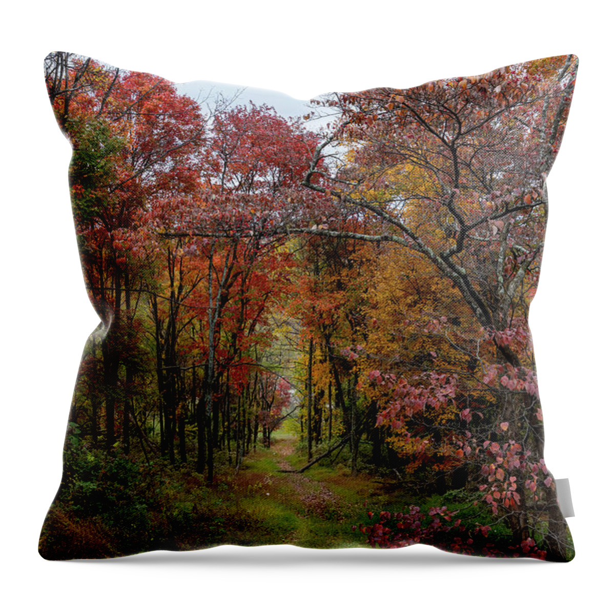 Appalachian Throw Pillow featuring the photograph Path to Witts Peak by Donna Twiford