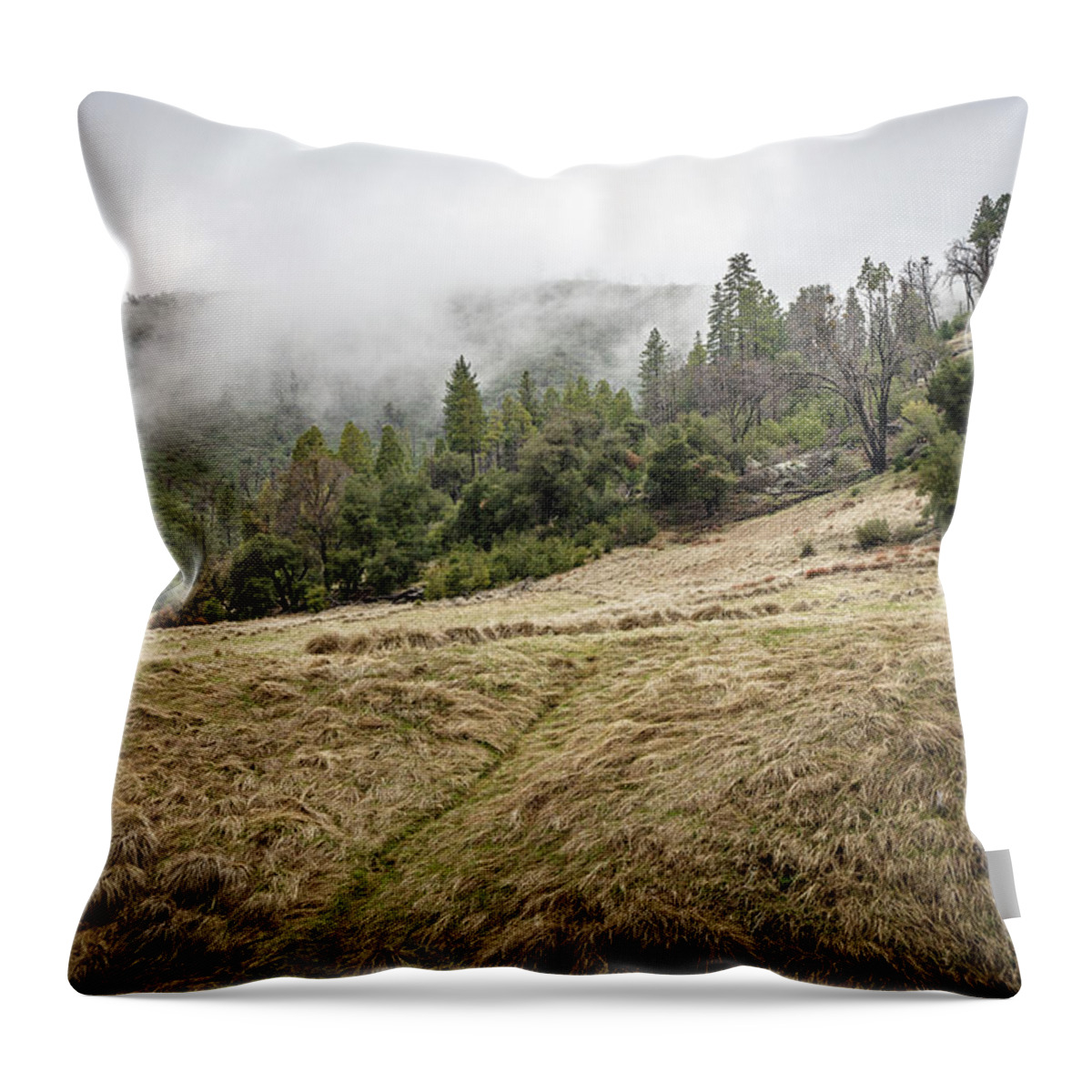 Trees Throw Pillow featuring the photograph Paths Crossed by Ryan Weddle