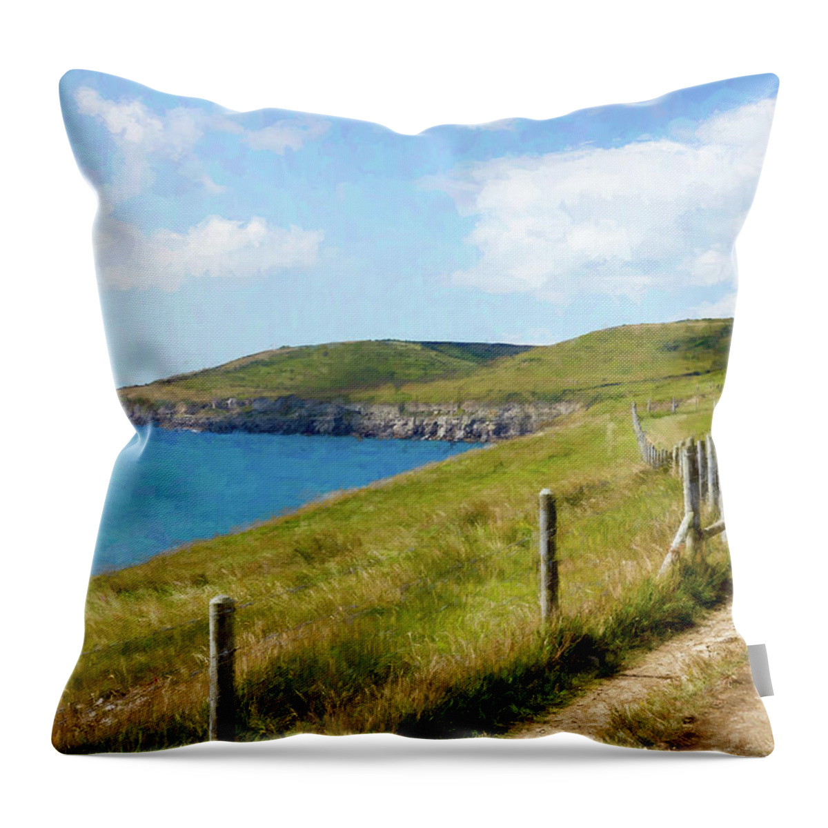 Jurassic Coast Throw Pillow featuring the digital art Pathway Along The Jurassic Coast by Tanya C Smith