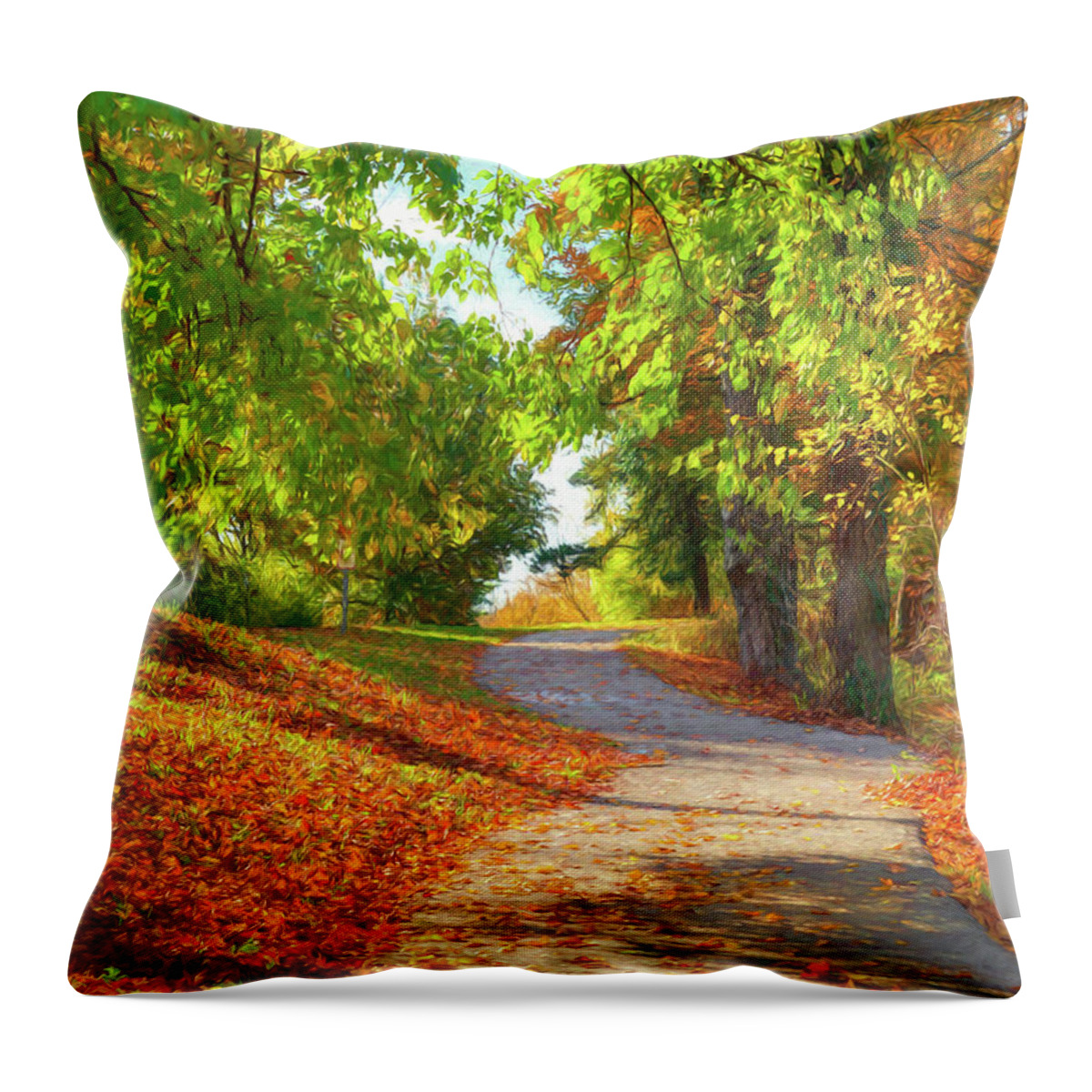 Pathway To Autumn Throw Pillow featuring the photograph Pathway To Autumn # 3 by Mel Steinhauer