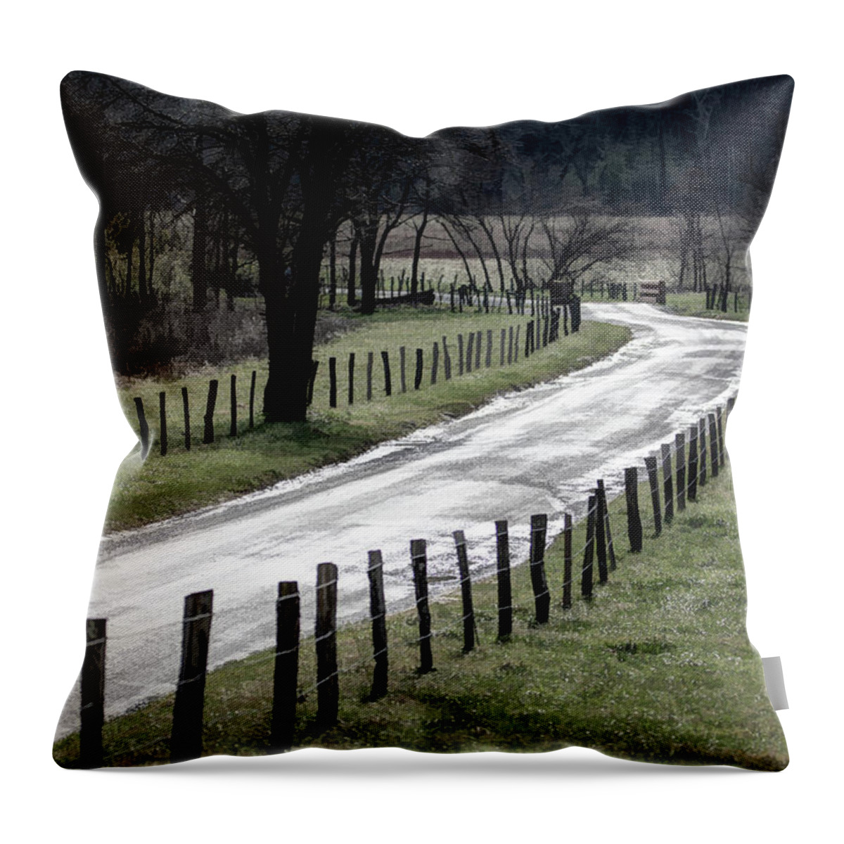 Cades Throw Pillow featuring the photograph Patterns of Cades Cove by Douglas Wielfaert