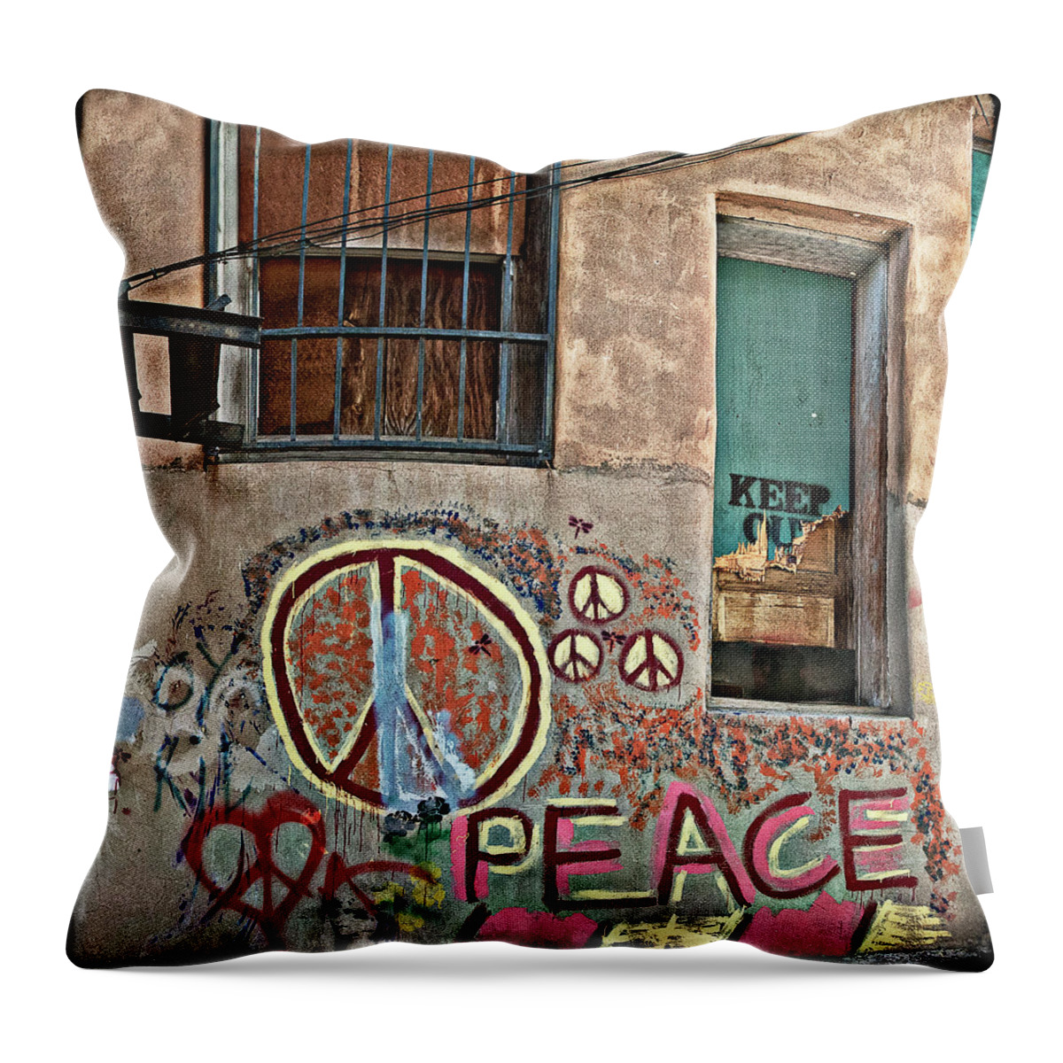 Back Alley Throw Pillow featuring the photograph Peace, Baby by Carmen Kern