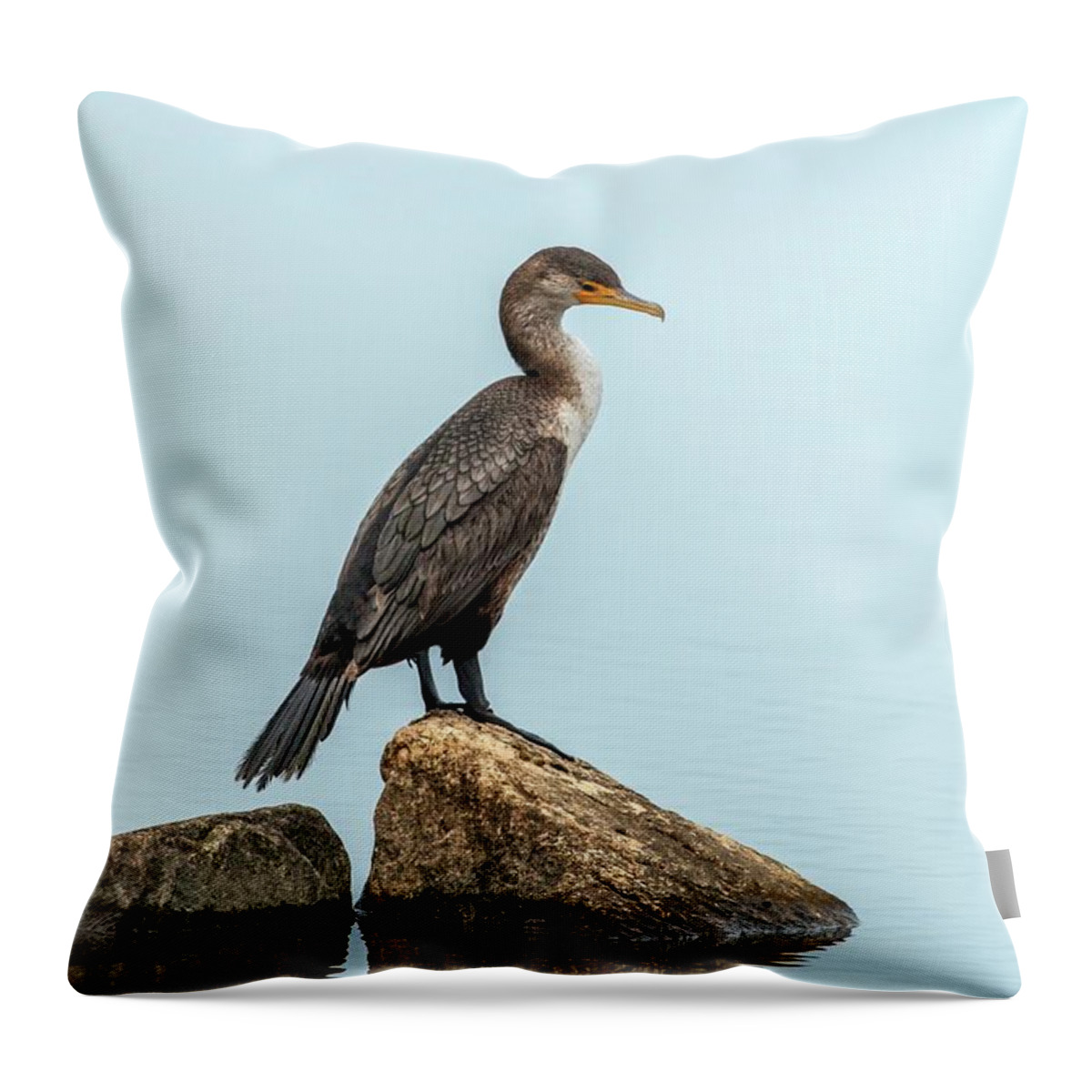 Breakwater Throw Pillow featuring the photograph Peaceful Double-Crested Cormorant by Liza Eckardt