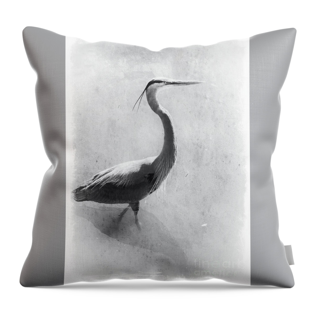 Great Blue Heron In Black And White Throw Pillow featuring the photograph Peaceful Heron in Black and White by Carol Groenen