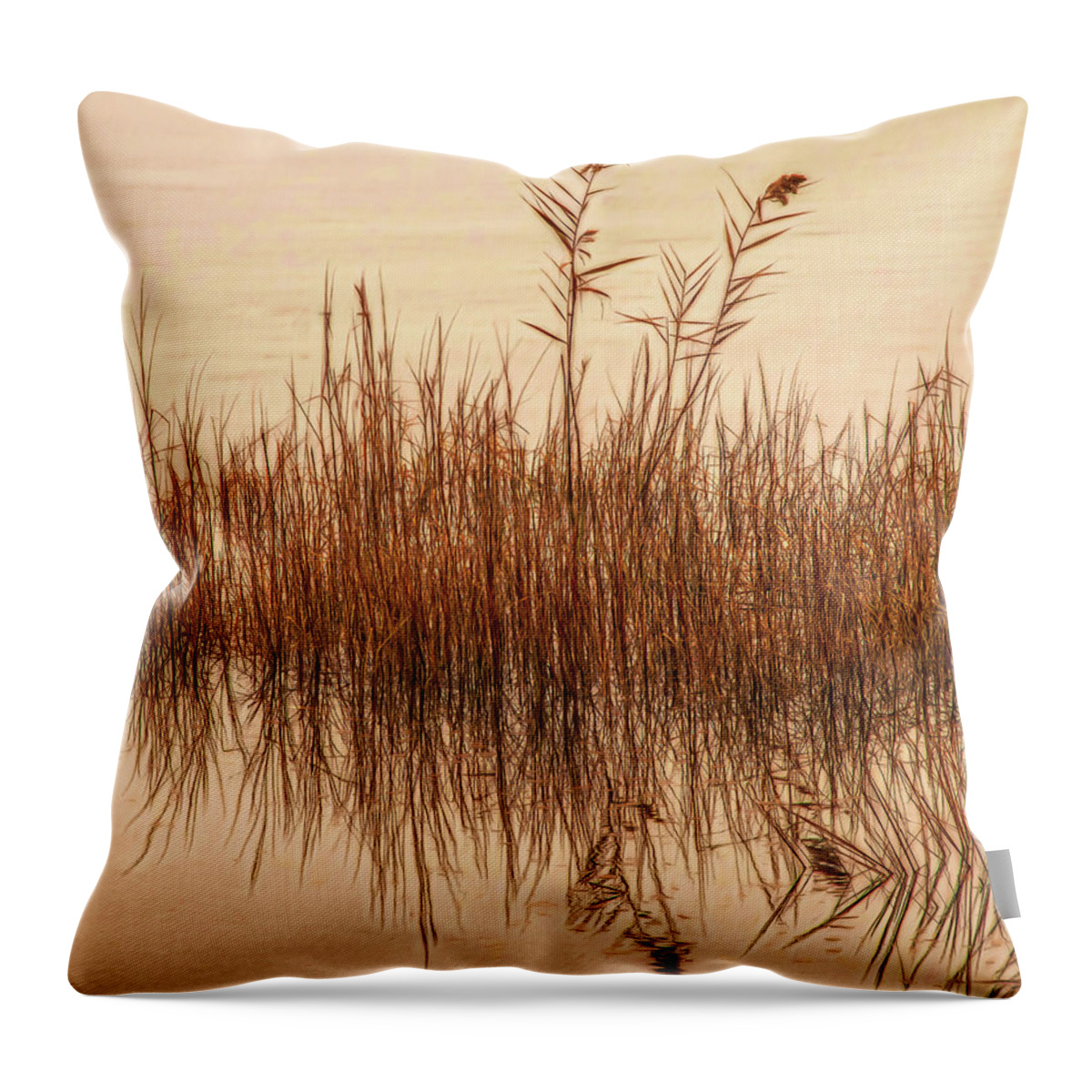 Swamp Throw Pillow featuring the photograph Peaceful Morning At The Estuary by Gary Slawsky