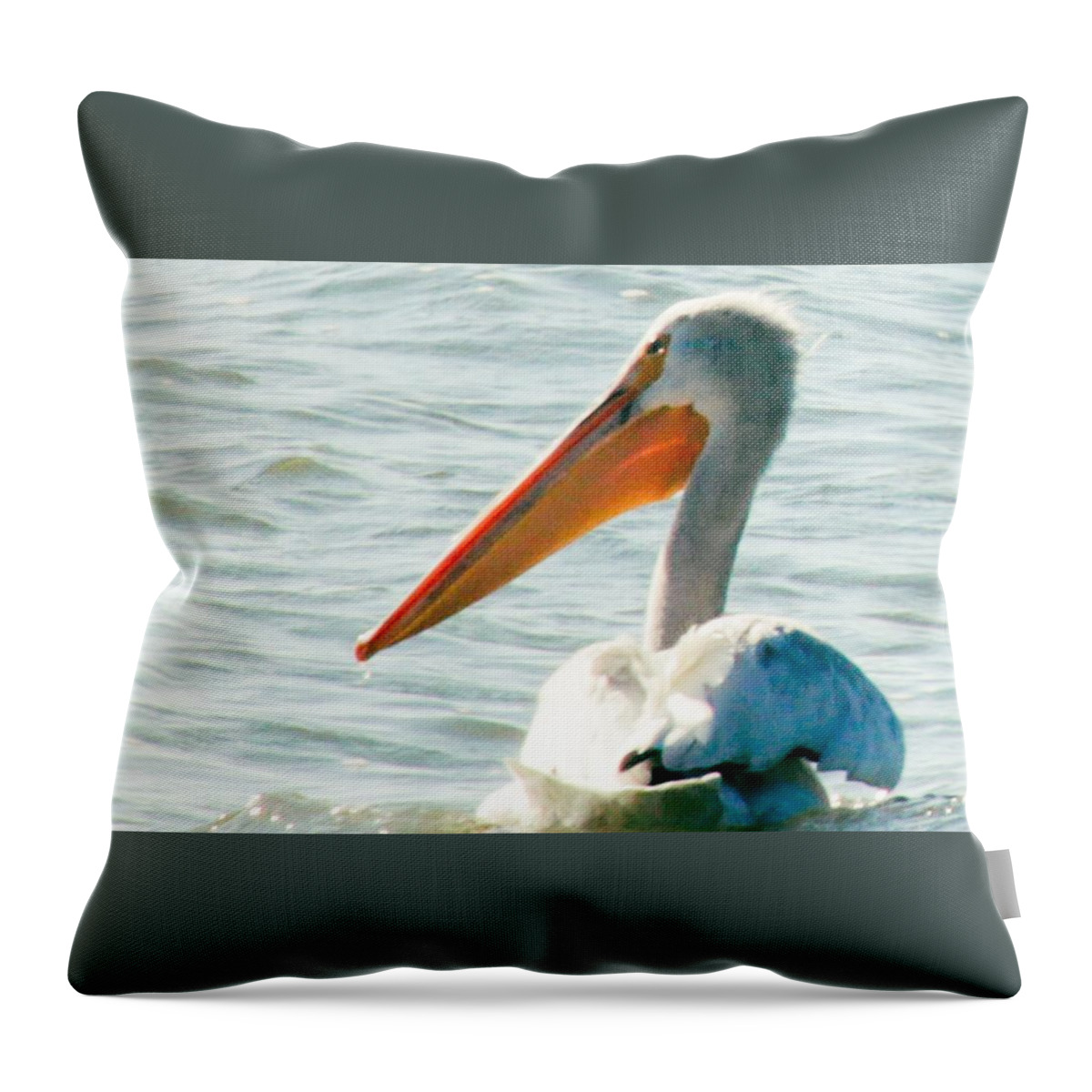 Lake Michigan Throw Pillow featuring the photograph Peaceful Morning by Windshield Photography