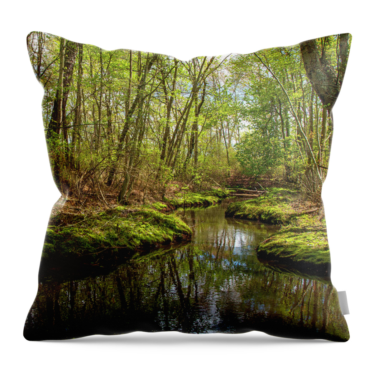 New Jersey Throw Pillow featuring the photograph Peaceful Pinelands Stream by Kristia Adams