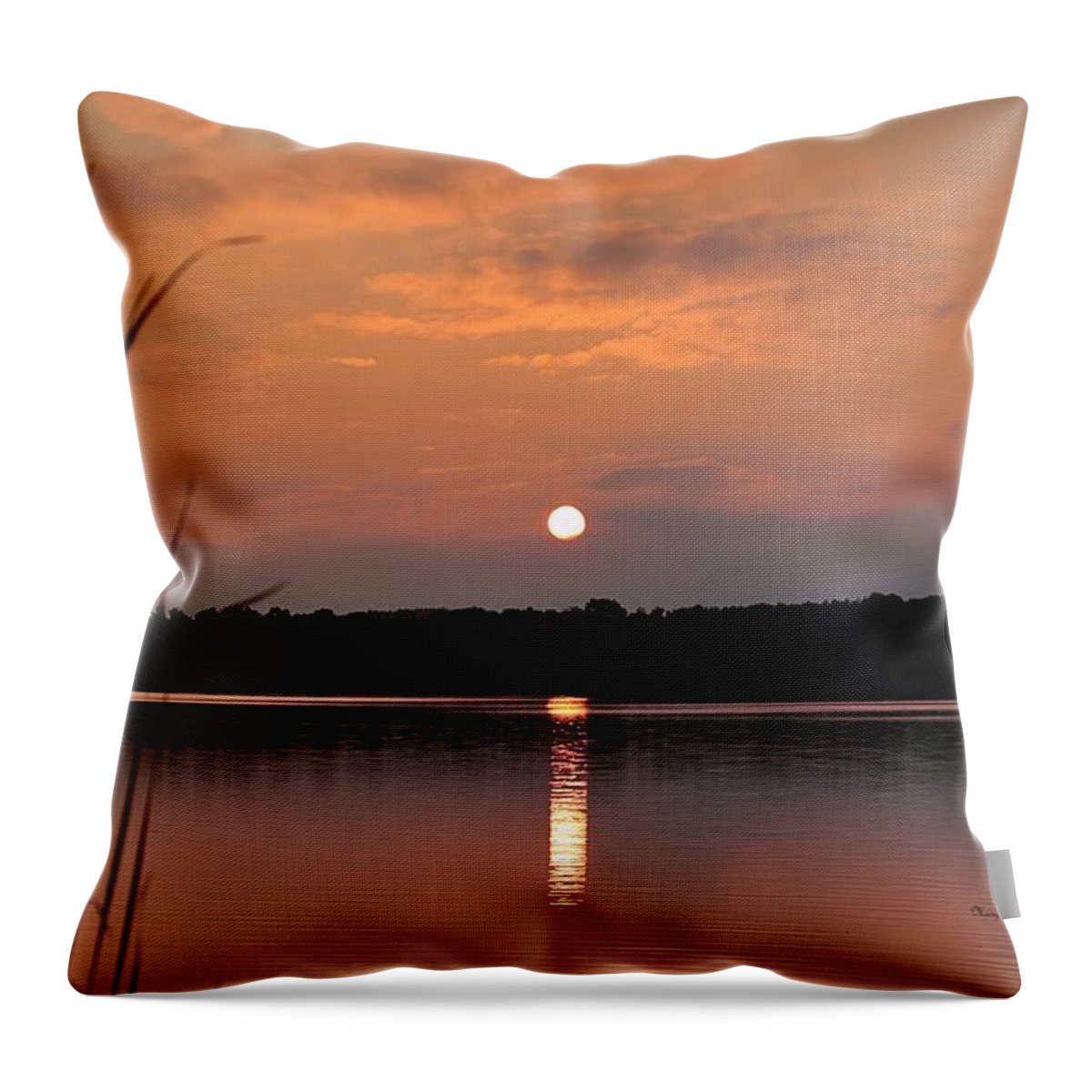 Sunset Throw Pillow featuring the photograph Peaceful Planet by Mary Walchuck