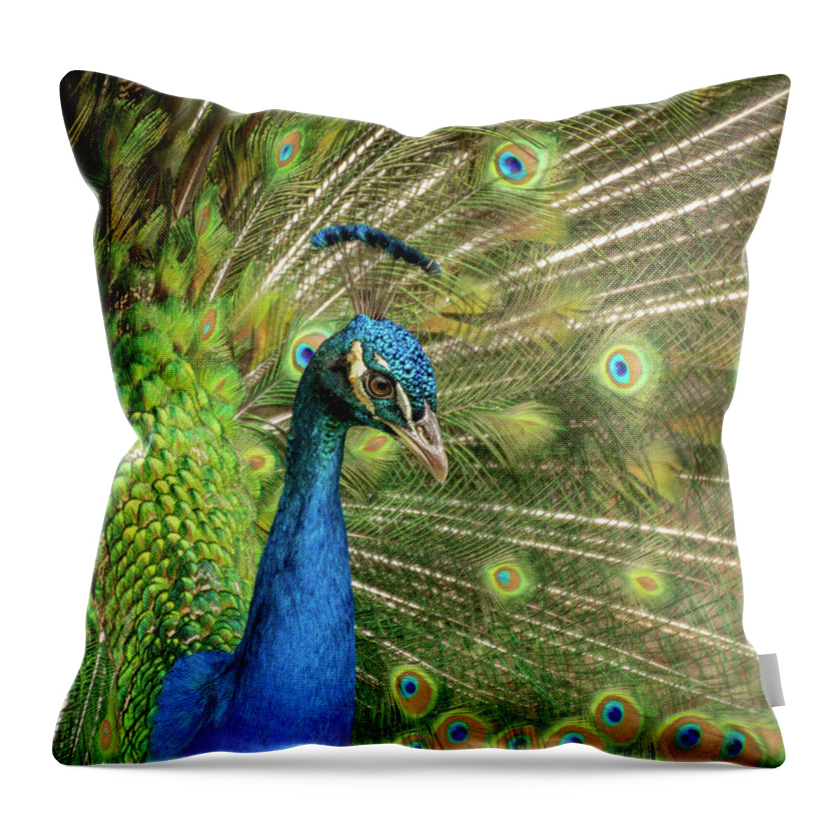 Peacock Throw Pillow featuring the photograph Peacock 4 by Cindy Robinson