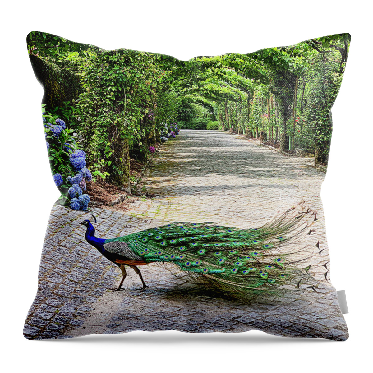 Peacock Throw Pillow featuring the photograph Peacock of Aveleda 2 by Jill Love