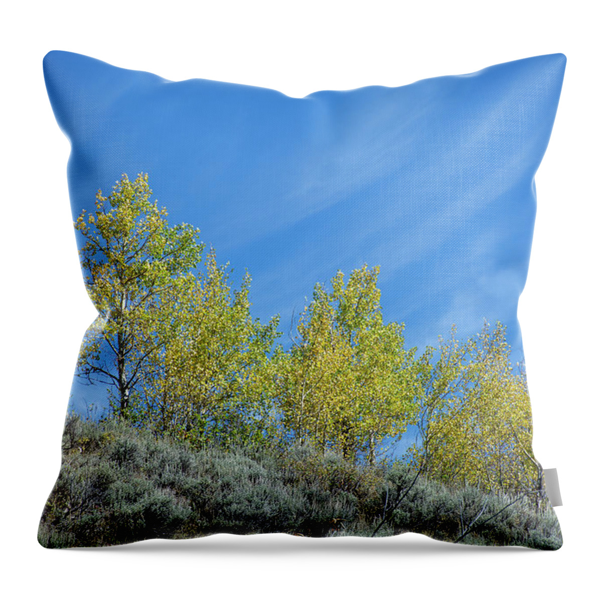 Grand Tetons Throw Pillow featuring the photograph Peak Aspens and Wispy Clouds in Grand Teton Nataional Park by Bruce Gourley