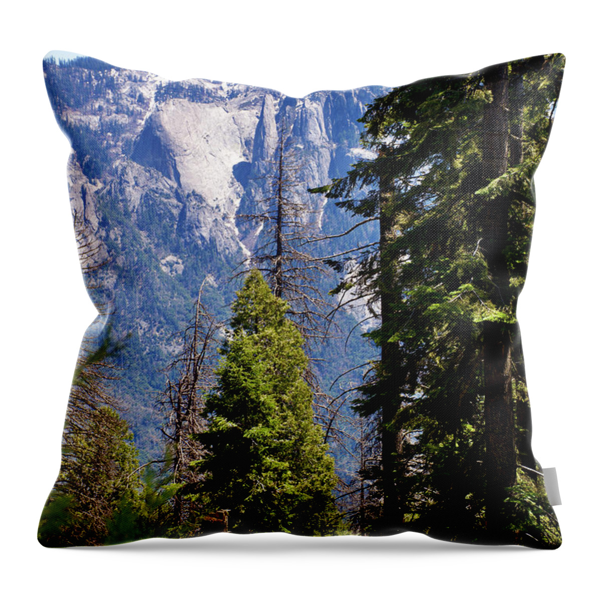 Peaks And Pines In Sequoia National Park Throw Pillow featuring the photograph Peaks and Pines in Sequoia National Park, California. by Ruth Hager