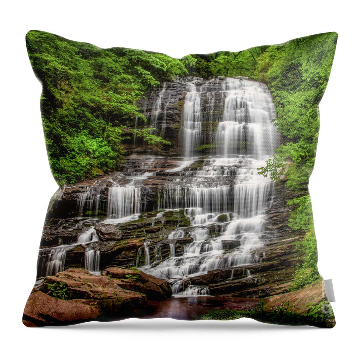 Pearsons Throw Pillow featuring the photograph Pearsons Falls in the Blue Ridge Mountains North Carolina by Shelia Hunt