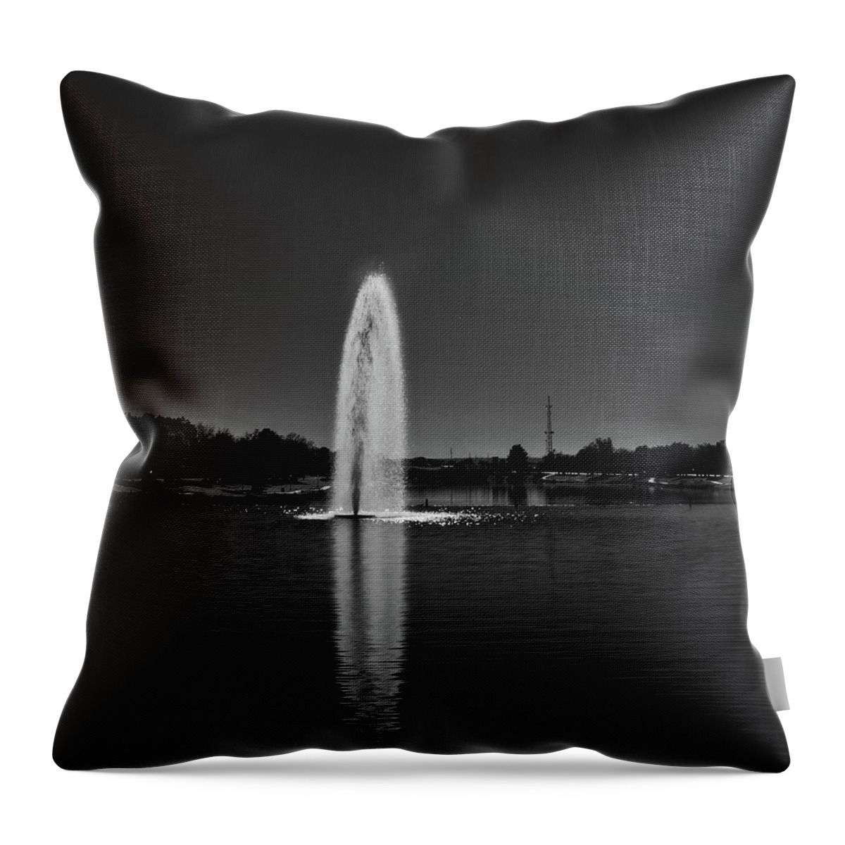 Fountain Throw Pillow featuring the photograph Pecos Reflection by George Taylor