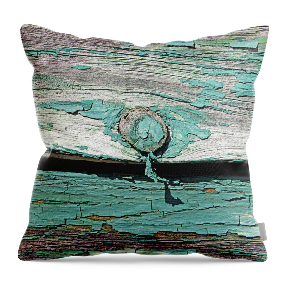 Wood Throw Pillow featuring the photograph Peeling Paint by Debbie Oppermann