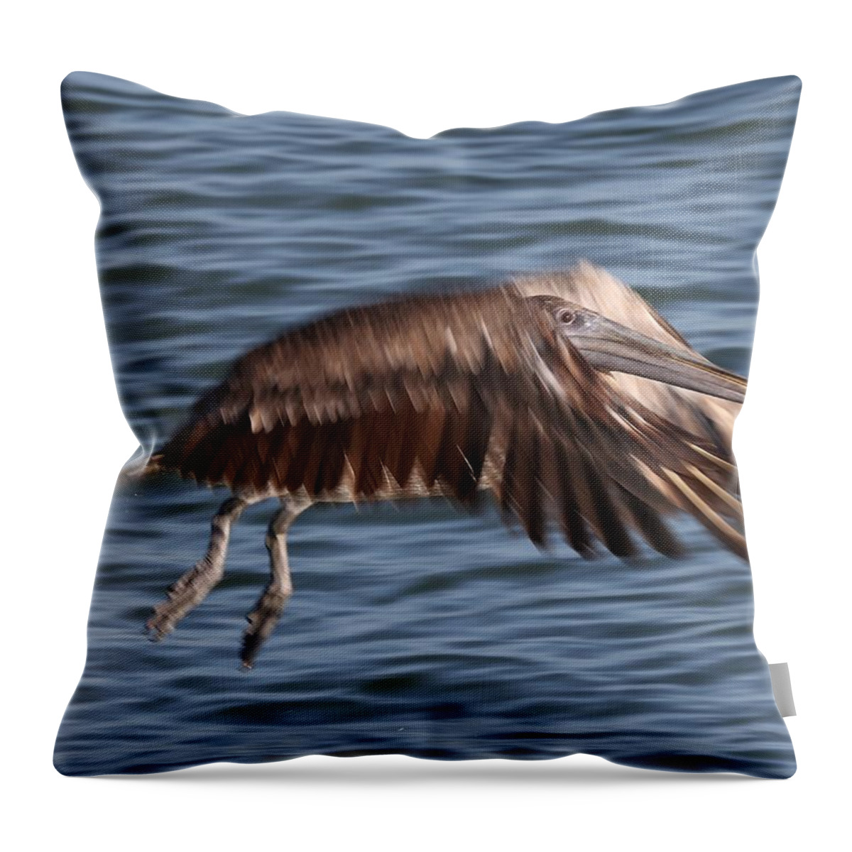 Pelicans Throw Pillow featuring the photograph Pelican in Motion by Mingming Jiang