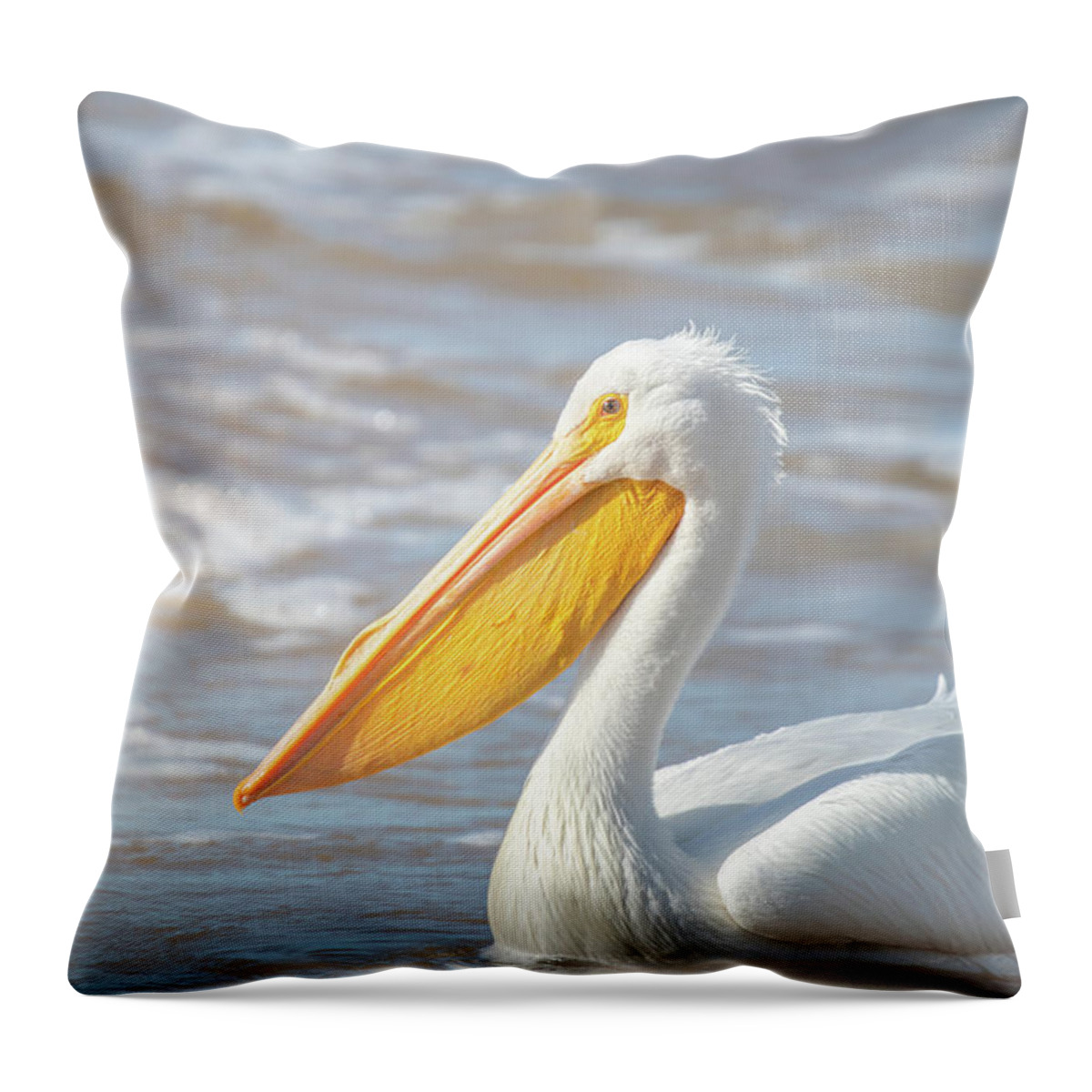 Pelican Throw Pillow featuring the photograph Pelican In The Sun by Jordan Hill