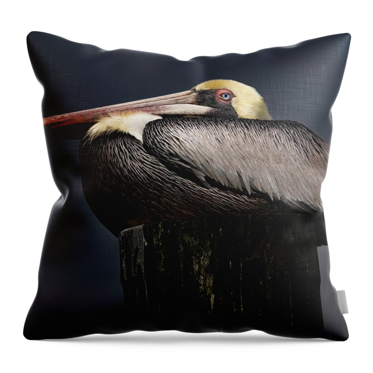 Birds Throw Pillow featuring the photograph Pelican on a Pole by Larry Marshall