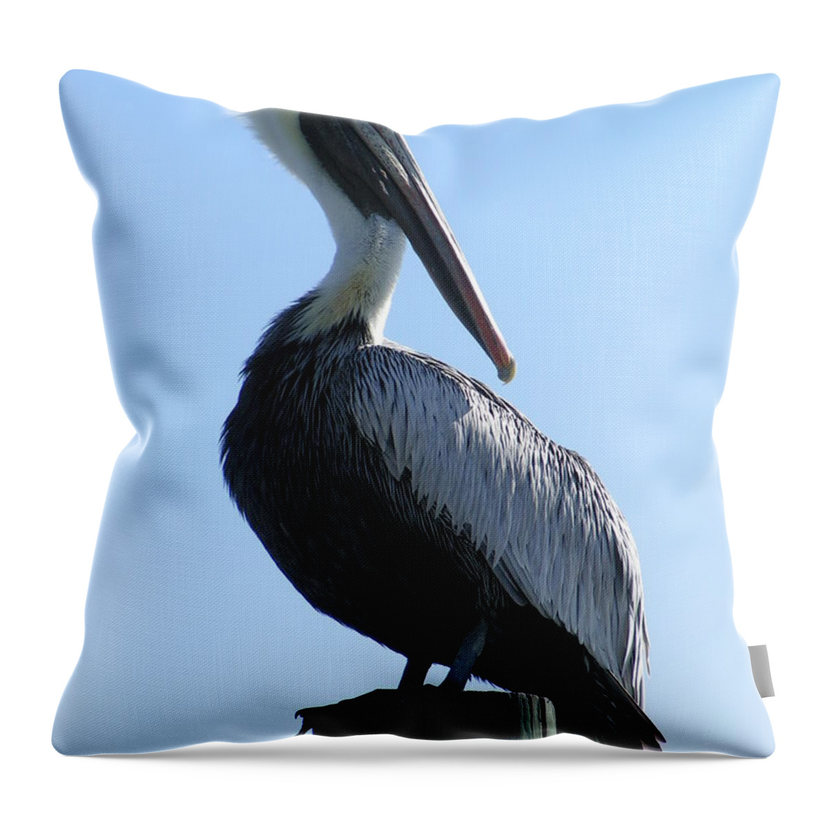  Throw Pillow featuring the photograph Pelican Roost by Heather E Harman
