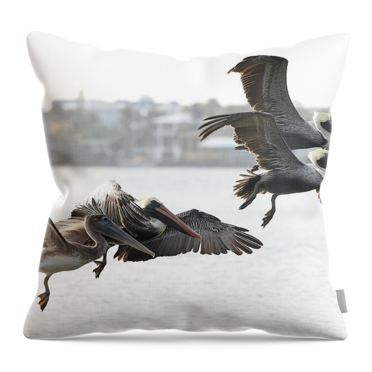 Pelicans Throw Pillow featuring the photograph Pelicans Fly in Pairs by Mingming Jiang