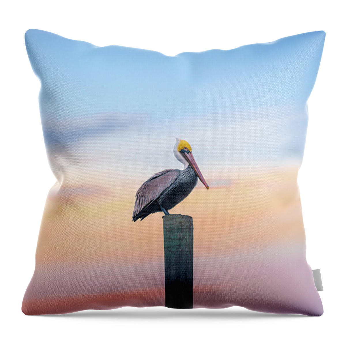 Pelican Throw Pillow featuring the photograph Pelicans Pit Stop by Jordan Hill