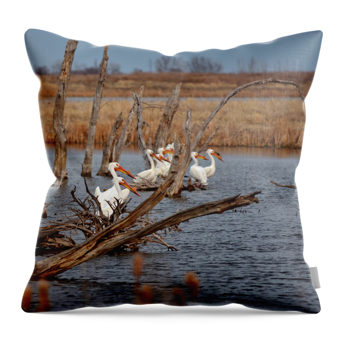 Pelicans Throw Pillow featuring the photograph Pelicans relaxing on deadwood of Devils Lake by Peter Herman