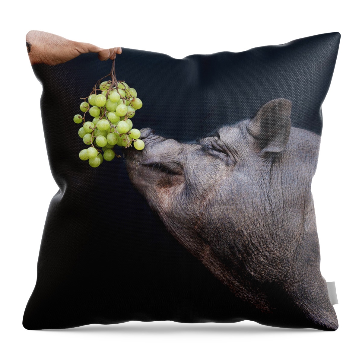 Arthur's Acres Throw Pillow featuring the photograph Penelope Loves Grapes by Arthur's Acres